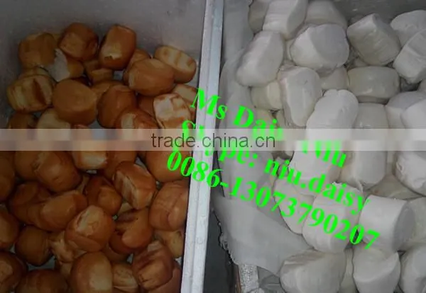 Commercial Bread Baking Oven/biscuit Baking Machine/croissant Bread Baking Machine photo-6