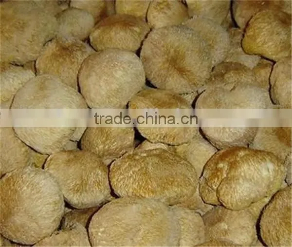 Frozen Shitake Mushroom photo-4