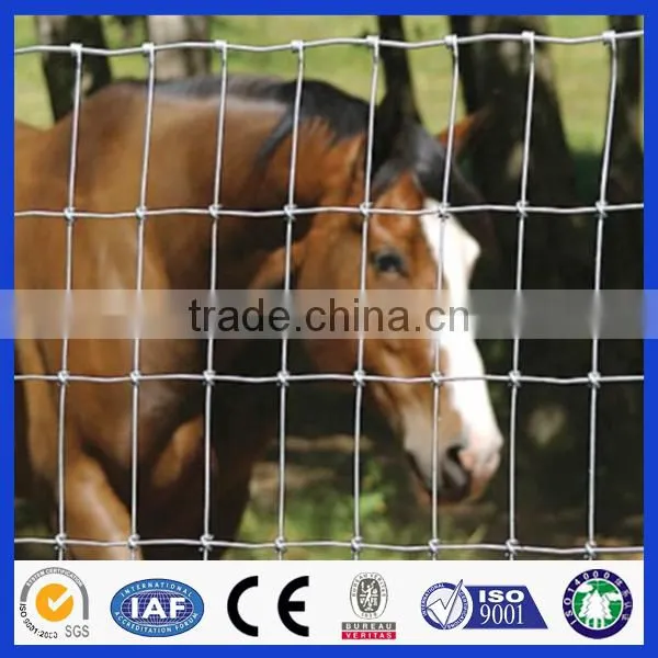 Made in China 20 Years Experience Professional Factory Hot Sale Field Fence photo-4