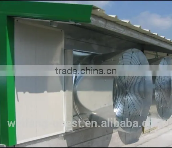 Automatic Poultry Feeding System photo-2