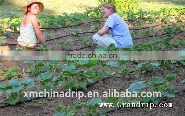 Drip Tape Irrigation Line 16mil Trickle Soaker Garden Hose Trickle Tape photo-4