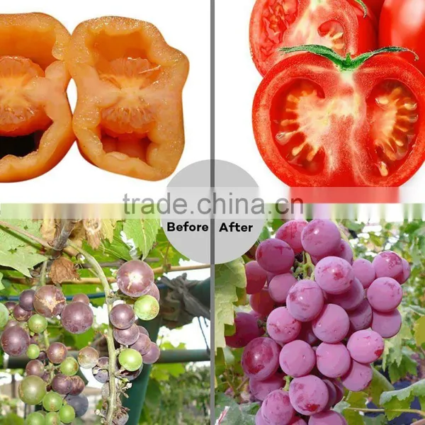 E27 24w Led Grow Light Marshydro Veg Flowerfull Spectrum Led Grow Light photo-6