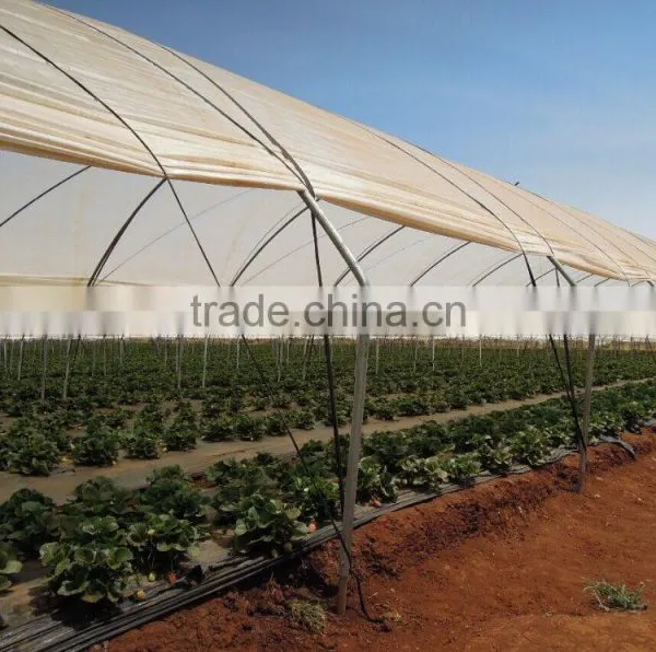 Tunnel-600 Agricultural Economical Greenhouse