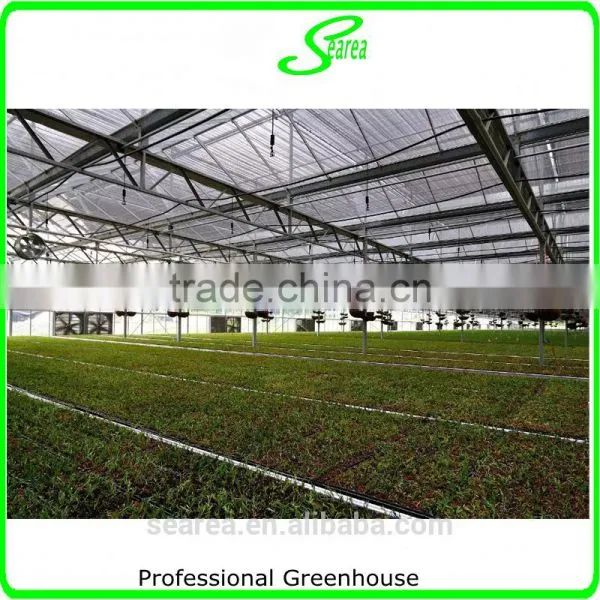 UV Protcetion Polycarbonate Sheet Greenhouse photo-2