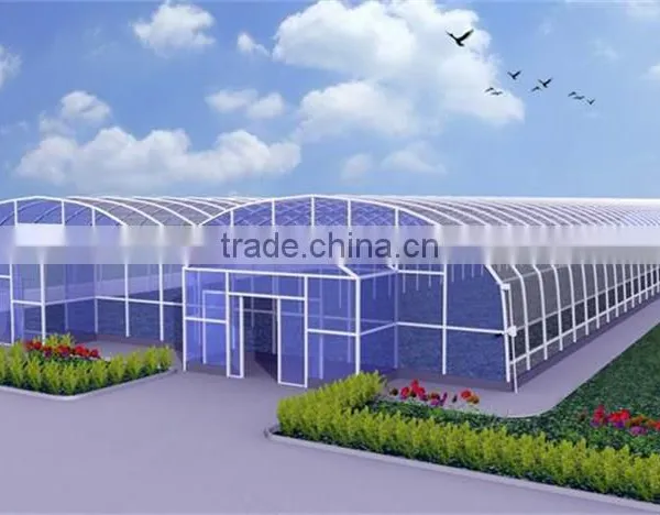Professional Design Polyethylelene Film Multi Span Agricultural Greenhouse photo-5