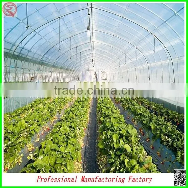 Single-span Large Tunnel Solar Greenhouse for Flower/vegetable Growing photo-5