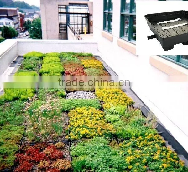 Plastic PP Module Flower Planters for Rooftop of Building