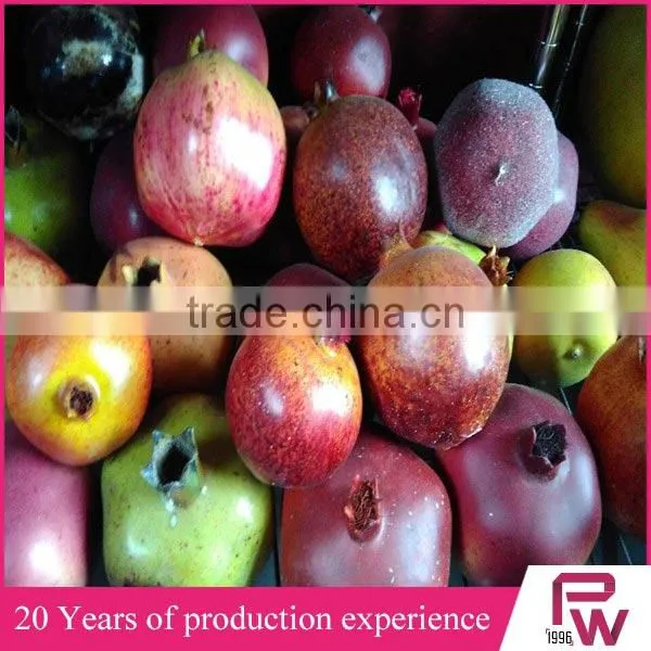 Harvest Festival Party Supplies Artificial Foam Fruits and Vegetables for Event Decor photo-6