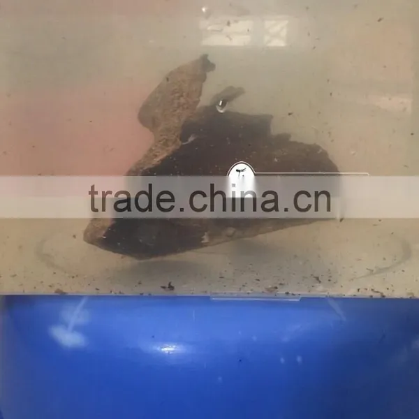 New Sinking Agarwood Chips - Vietnam Precious Oud Wood From Wild photo-2