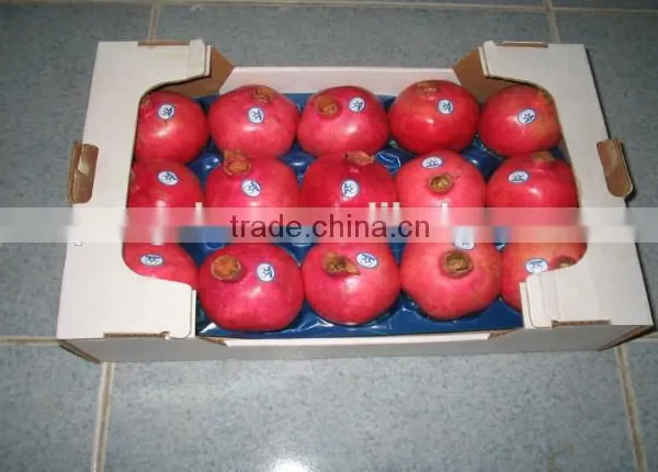 High Quality PP Disposable Plastic Sushi Tray photo-4