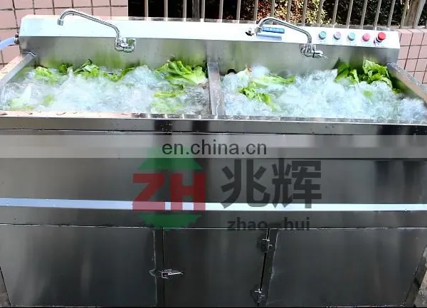 Home Use Ozone Mushroom Lettuce Spinach Leaf Vegetable Washing Machine photo-7