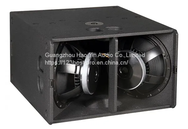 10 Inch Active Line Array Speaker System T10 photo-4