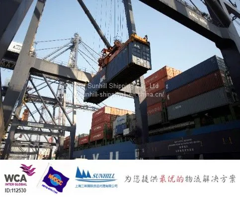 Shanghai to Cotonou Ocean Freight for Break Bulk Cargo Shipping Logistics Benin photo-2