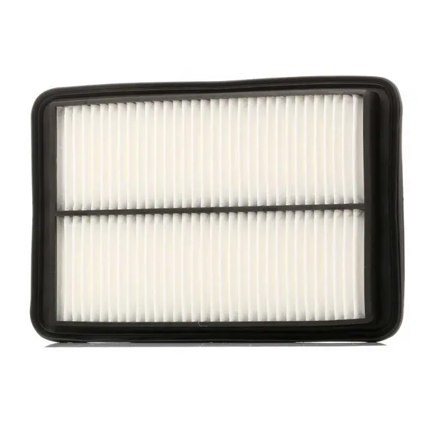 Auto Air Filter 16546-4BA1B, C25040, 16546-4BA1A, 16546-4BA1J, AY120-NS062 for Nissan Qashgai 1.2, 1.5, 1.6 Dci, Xtrail 1.6 Dci