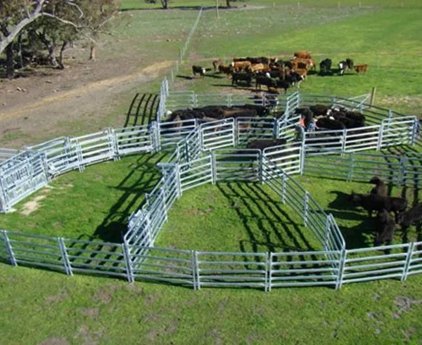 The Livestock Tubular Fence for Cattle Sheep Horses and Others photo-6