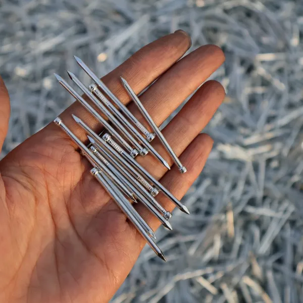 Retail Pack Lost Head Nails - 100pcs Small Pack for DIY Projects