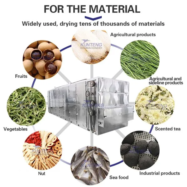 Hot Selling Marijuana Mesh Belt Drying Equipment Industrial Hemp Flowers Dryer EPC photo-5