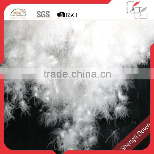 New Products on China Market, Duck Down Feather