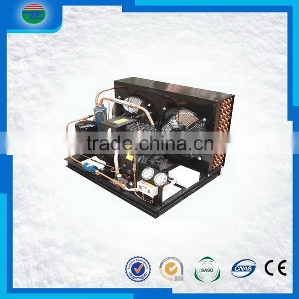 The Most Popular 3SCH-1000 Copeland Hermetic Condensing Unit photo-4