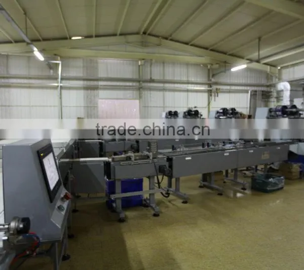 automatic packing system