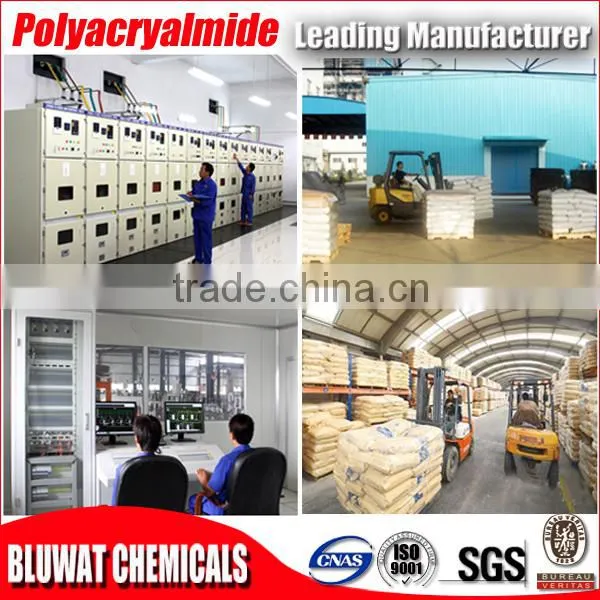 Blufloc Cationic Polyelectrolyte Flocculant CPAM for Bulgaria Market photo-6