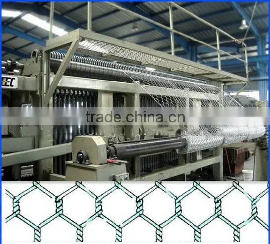 Hexagonal Wire Mesh/hexagonal Chicken Wire Netting/chicken Wire Mesh photo-3