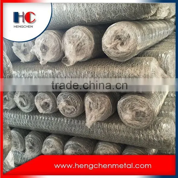 Dog Kennel Hexagonal Wire Mesh Products photo-4
