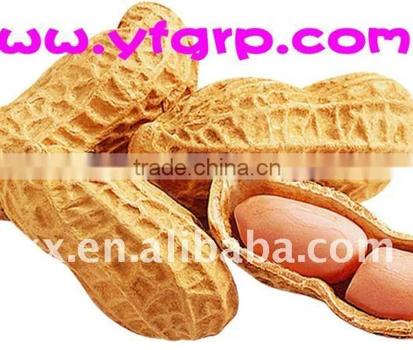 Wholesale Fried Salted Peanuts From Shandong, China photo-3