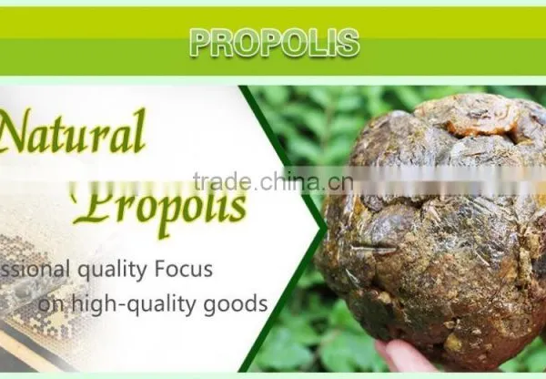 100% Pure Propolis/high Quality Bee Propolis photo-4