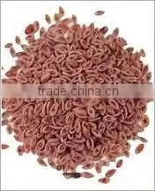 PSYLLIUM SEEDS