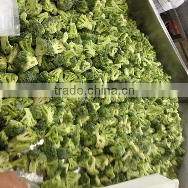 Hot Sell Frozen Fresh Broccoli Cut photo-3
