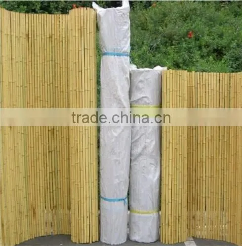 Bamboo Poles and Bamboo Bent Pole photo-6