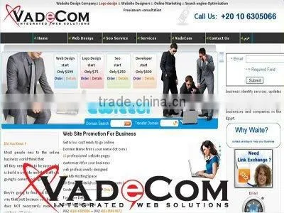 Website Design