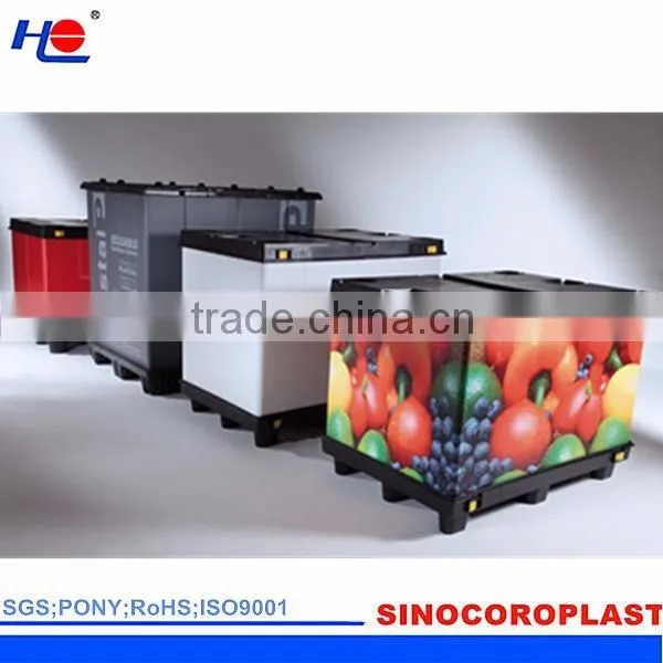 Plastic Vegetable Packaging Box photo-6