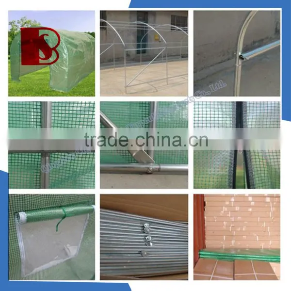 Focus Garden Tunnel Dome, High Quality Greenhouse for Sale photo-3