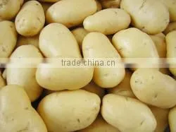 Fresh Big Potato photo-2