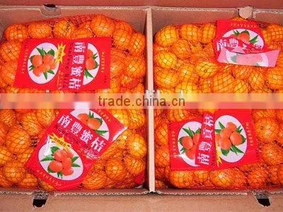 Sell Nanfeng Mandarine/ Baby Mandarine 9KG photo-2