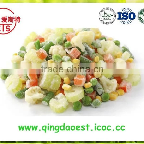 For Export 2015 Bulk Frozen IQF Mixed Vegetables photo-5