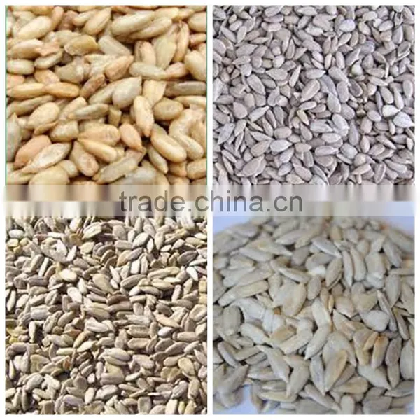 Sunflower Kernels Sunflower Seeds Kernels photo-2