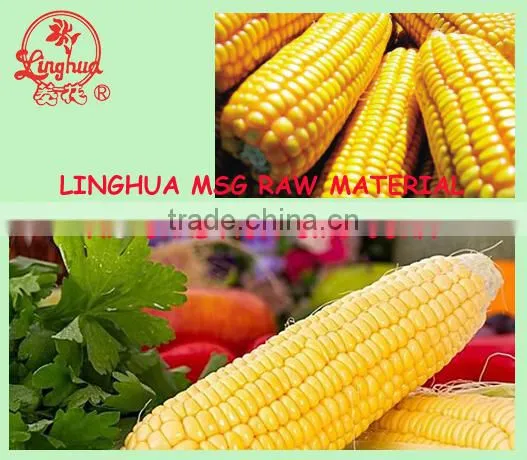 Halal Msg Monosodium Glutamate Manufacturer photo-3