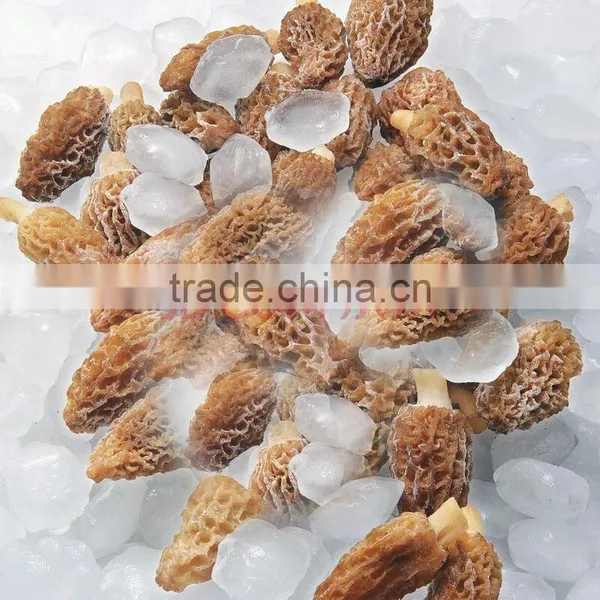 Frozen Processing Type Morels photo-2