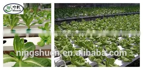 Expanded Perlite 1-3mm, 2-4mm Perlite Soil Amendments photo-4