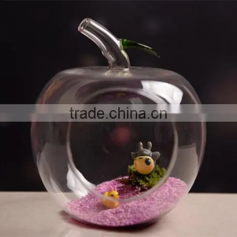 Micro Landscape Ecological Apple Shape With Green Leaf Meaty Plant Glass Vase DIY 16L003 photo-2