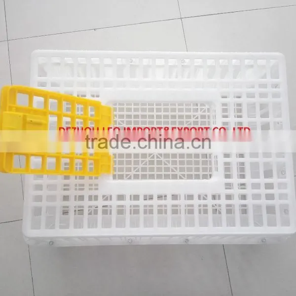 Cheapest Plastic Chicken Transport Crate for Sale photo-2