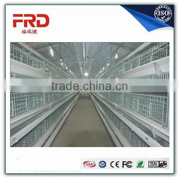 FRD 2016 Poultry Farm Equipment Automatic Battery Design Chicken Egg Layer Cages /bird Cage for Sale/decorative Bird Cages photo-6