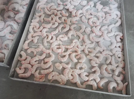 Fish,shrimp, Lobster Iqf Tunnel Freezer, Cryogenic Freezer
