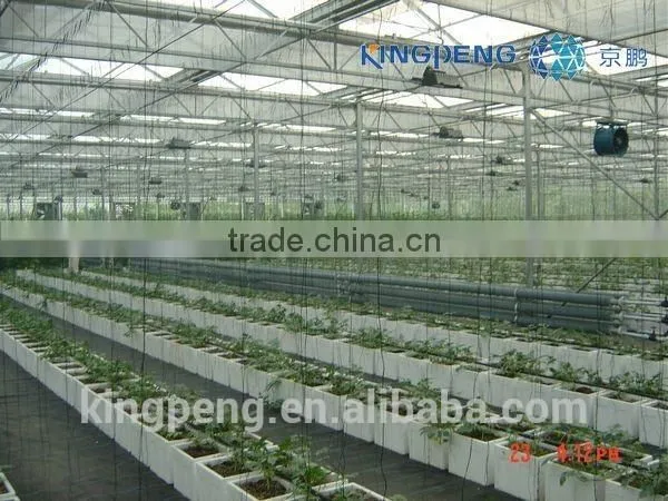 Glass Greenhouse for Agricultural (ISO9001:2000) photo-3