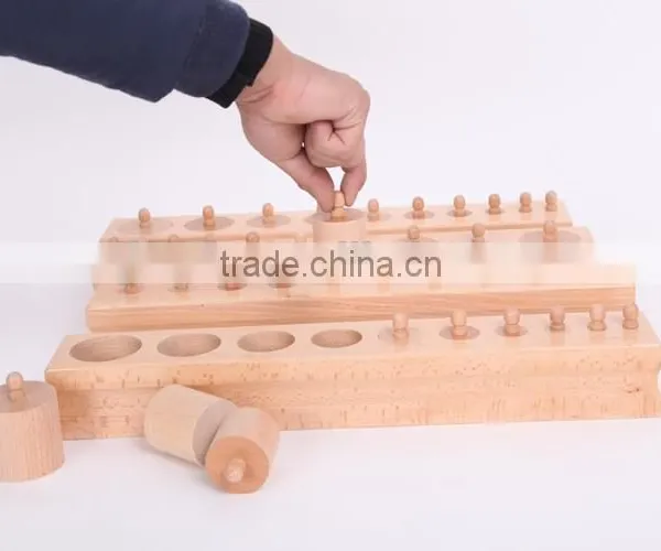 Teaching AIDS Wooden Educational Toys Montessori Cylinders Blocks photo-5