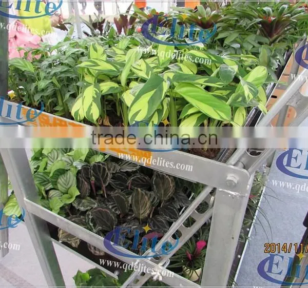 A37 Vegetable Seedings Plant Trolley Container photo-5