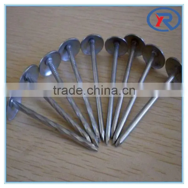Low Price Stainless Galvanized Concrete Nails photo-3